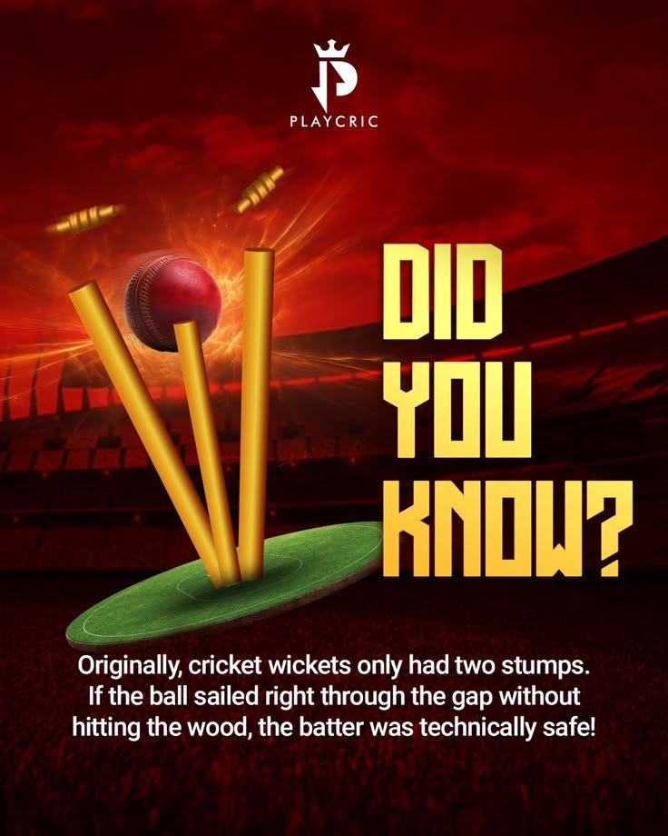 did you know cricket